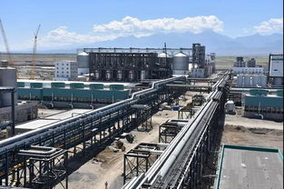 凱賽創(chuàng)新型生物基聚酰胺為下游企業(yè)帶來(lái)更多解決方案