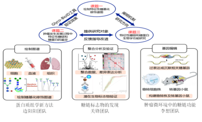 我校5人獲省杰青項(xiàng)目資助、4支團(tuán)隊(duì)入選省重點(diǎn)科技創(chuàng)新團(tuán)隊(duì)