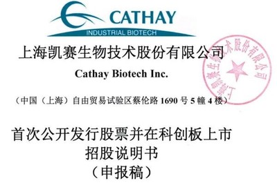 凱賽生物IPO:存在安全生產(chǎn)風險,曾深陷專利糾紛,票據(jù)流轉(zhuǎn)、轉(zhuǎn)貸等違規(guī)不斷