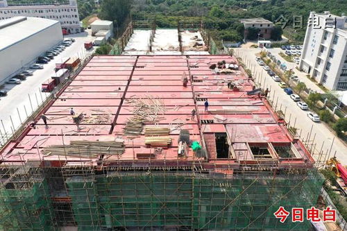 電白這些重點項目全速建設(shè)中