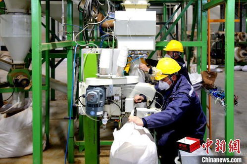 專精特新 企業(yè)何以成新疆兵團高質(zhì)量發(fā)展生力軍