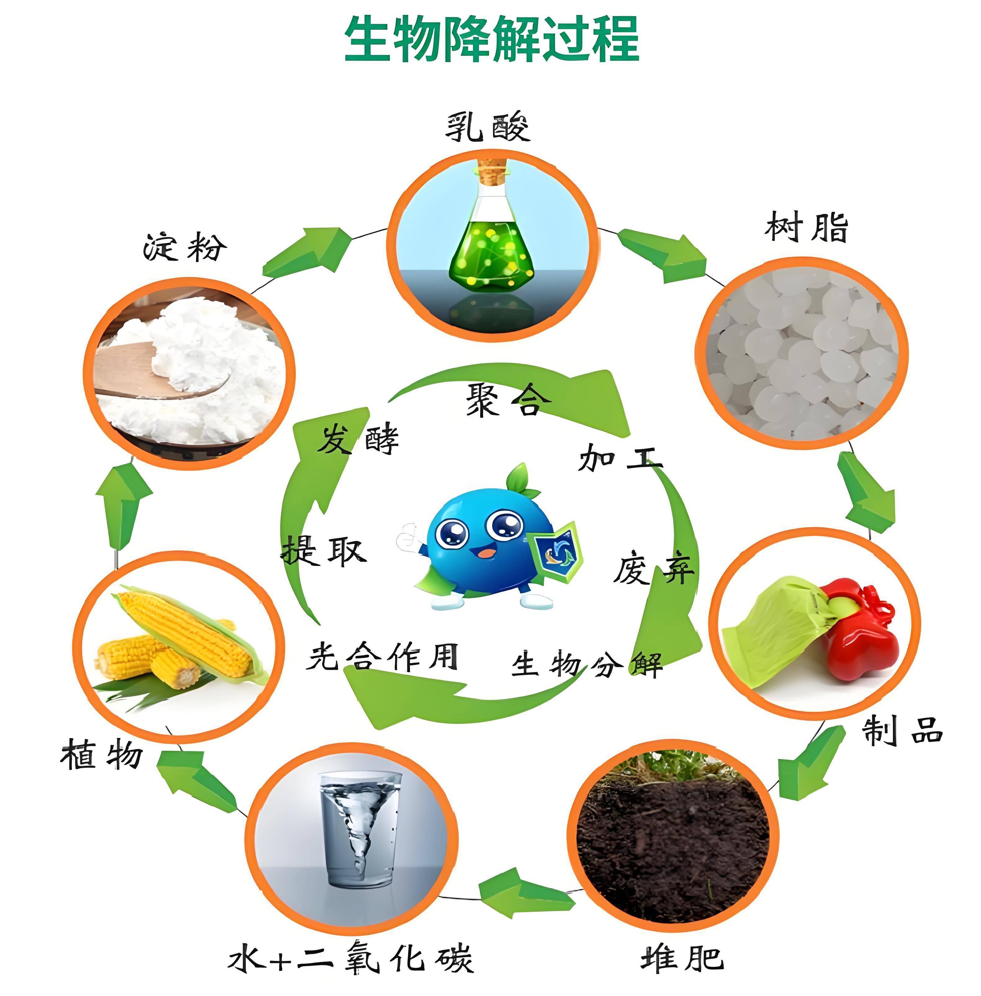生物基材料&ne;生物降解材料:深入剖析兩大環(huán)保材料的本質(zhì)差異與關(guān)聯(lián)