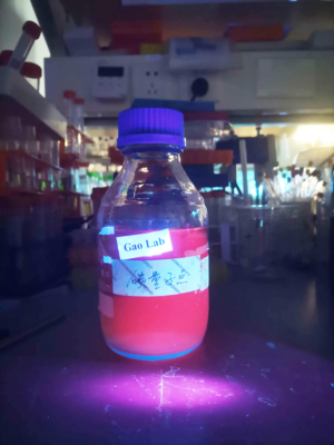 新型碳基納米材料助力農(nóng)業(yè)應(yīng)用