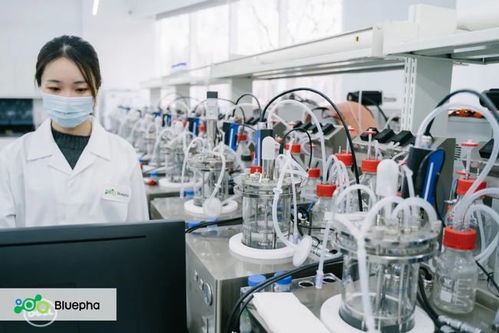 藍晶微生物獲15億元B輪系列融資，元生資本與混改基金領投，加速生物基材料研發